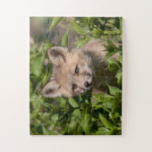 Puzzle Animaux de bébés cutest | Kit Fox (Vertical)