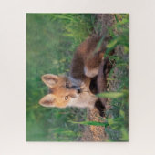 Puzzle Animaux de bébés cutest | Kit Red Fox Relaxant (Vertical)