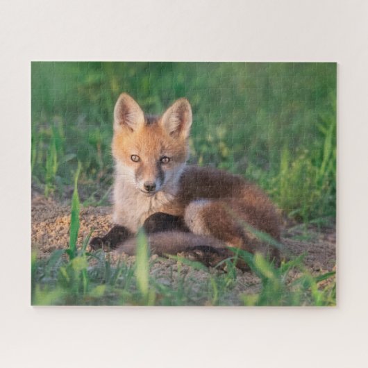 Puzzle Animaux de bébés cutest | Kit Red Fox Relaxant (Horizontal)