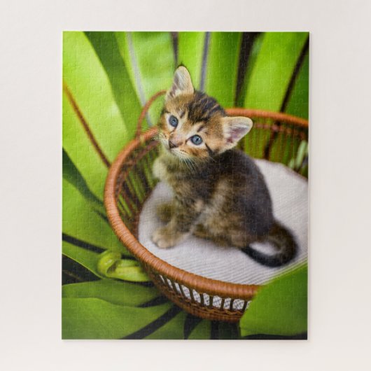 Puzzle Animaux de bébés cutest | Kitten dans le panier (Vertical)