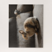 Puzzle Animaux de bébés cutest | Lapin nain de Pays-Bas (Vertical)