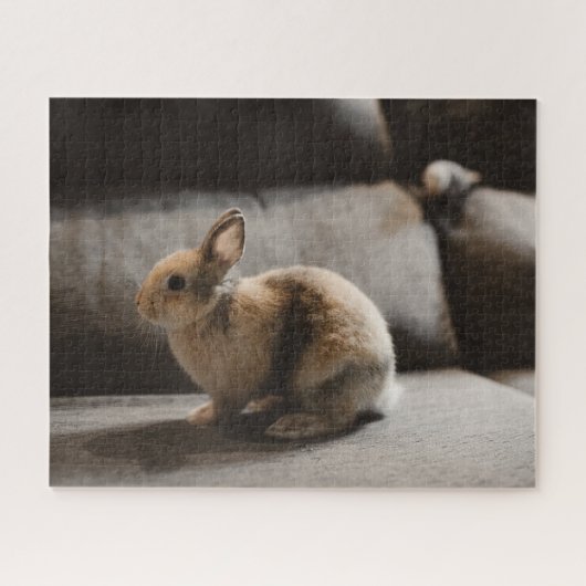 Puzzle Animaux de bébés cutest | Lapin nain de Pays-Bas (Horizontal)