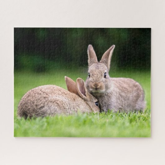 Puzzle Animaux de bébés cutest | Lapins de lapin sauvage (Horizontal)