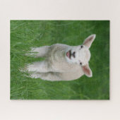 Puzzle Animaux de bébés cutest | Lil Lamb (Horizontal)