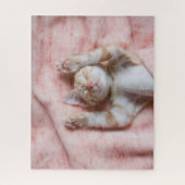 Puzzle Animaux de bébés cutest | Minuscule chaton rayé or (Vertical)