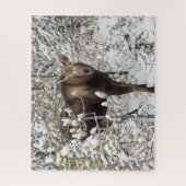 Puzzle Animaux de bébés cutest | Moose Calf (Vertical)