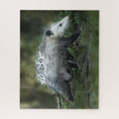 Puzzle Animaux de bébés cutest | Opossum Maman & Kids (Vertical)