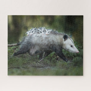 Puzzle Animaux de bébés cutest   Opossum Maman & Kids