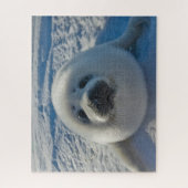 Puzzle Animaux de bébés cutest | Phoque bébé (Vertical)