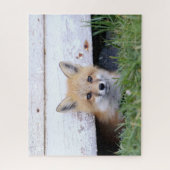 Puzzle Animaux de bébés cutest | Red Fox Kit Peeking (Vertical)