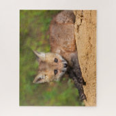 Puzzle Animaux de bébés cutest | Red Fox Pup (Vertical)