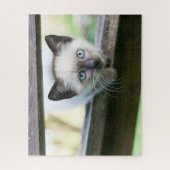 Puzzle Animaux de bébés cutest | Siamese Kitten 2 (Vertical)