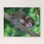 Puzzle Animaux de bébés cutest | Singe bébé (Horizontal)