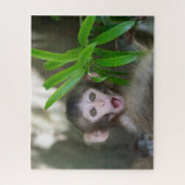 Puzzle Animaux de bébés cutest | Singe des neiges surpris (Vertical)