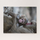 Puzzle Animaux de bébés cutest | Singe et bébé japonais (Horizontal)