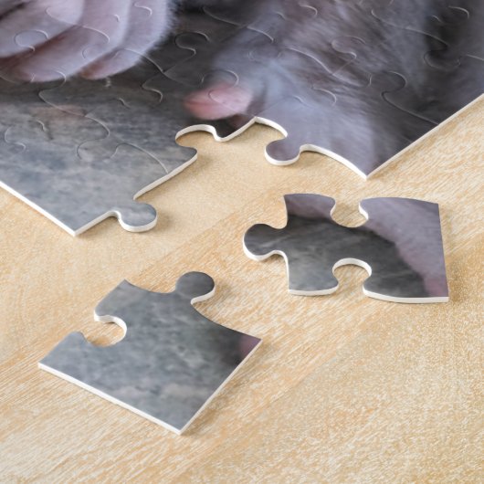 Puzzle Animaux de bébés cutest | Singes japonais (Côté)