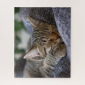 Puzzle Animaux de bébés cutest | Tabby Kitten Sommeil (Vertical)