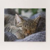 Puzzle Animaux de bébés cutest | Tabby Kitten Sommeil (Horizontal)