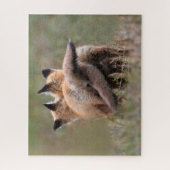 Puzzle Animaux de bébés cutest | Tails de verrouillage de (Vertical)