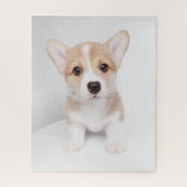 Puzzle Animaux de bébés cutest | Tiny Corgi (Vertical)