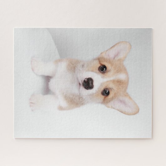 Puzzle Animaux de bébés cutest | Tiny Corgi (Horizontal)
