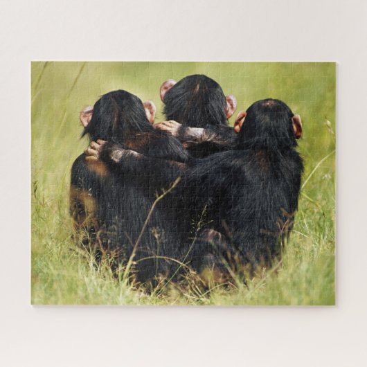 Puzzle Animaux de bébés cutest | Trois chimpanzés en trai (Horizontal)