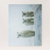 Puzzle Animaux de bébés cutest | Trois jeunes ours polair (Vertical)