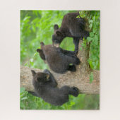 Puzzle Animaux de bébés cutest | Trois jeunes petits ours (Vertical)