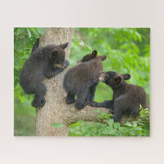 Puzzle Animaux de bébés cutest | Trois jeunes petits ours (Horizontal)