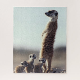 Puzzle Animaux de bébés cutest   Une famille de Meerkats