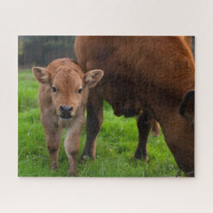Puzzle Animaux de bébés cutest Vache et veau