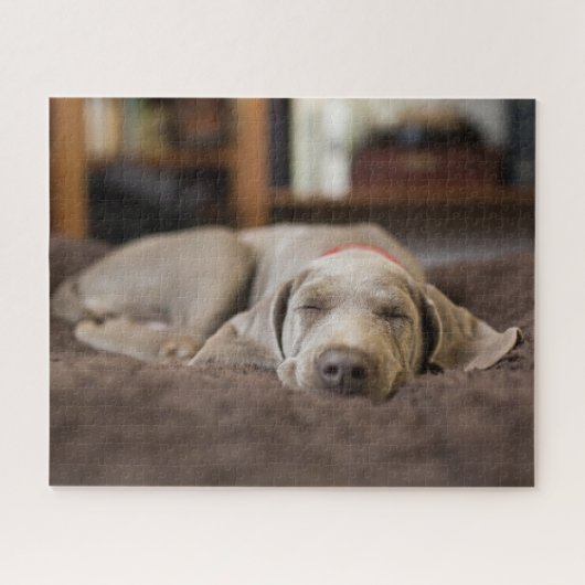 Puzzle Animaux de bébés cutest | Weimaraner Puppy Sleepin (Horizontal)