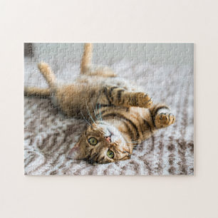 Puzzle Animaux de compagnie adorables 11" x 14"