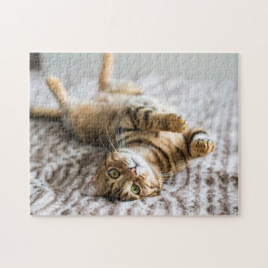 Puzzle Animaux de compagnie adorables 11" x 14" (Horizontal)