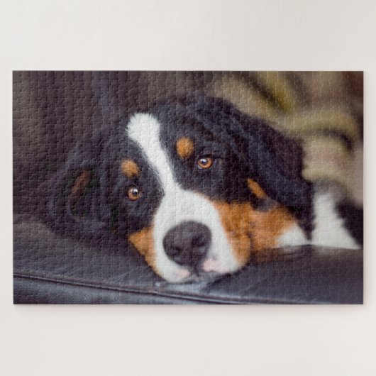 Puzzle Animaux de compagnie difficiles 20" x 30" (Horizontal)