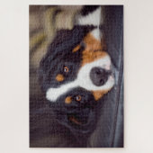 Puzzle Animaux de compagnie difficiles 20" x 30" (Vertical)