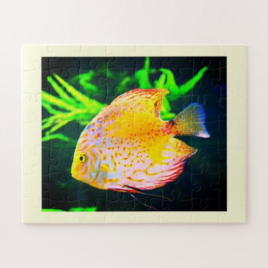 Puzzle Animaux de poissons de Discus (Horizontal)