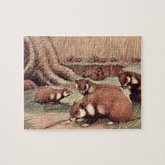 Puzzle Animaux sauvages vintages, Hamsters de Louis Sarge (Horizontal)