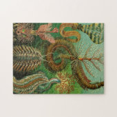 Puzzle Annélie par Ernst Haeckel (Horizontal)