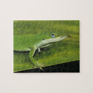 Puzzle Anolis vert, Anolis carolinensis, adulte sur un pa