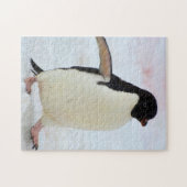 Puzzle Antarctica. Île Petermann. Adelie penguin (Horizontal)