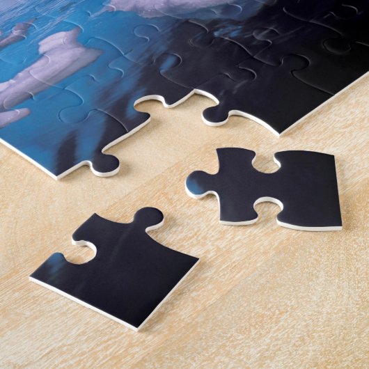 Puzzle Antarctique. Expédition à travers les échappées de (Côté)