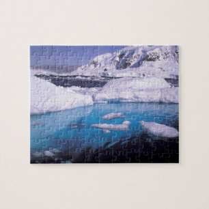 Puzzle Antarctique. Expédition à travers les paysages de