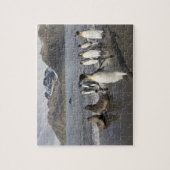 Puzzle Antarctique, île de Géorgie du Sud (UK), Antarctiq (Vertical)