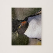 Puzzle Antarctique, îles subantarctiques, Sud 5 (Vertical)