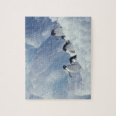 Puzzle Antarctique. Manchots Adélie (Vertical)
