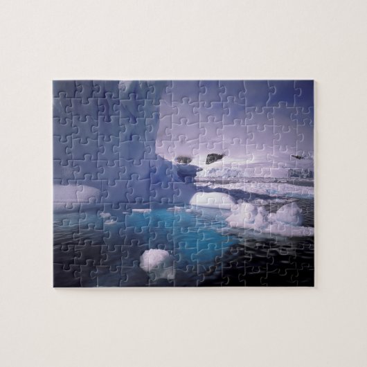 Puzzle Antarctique. Sévices de l'Antarctique 2 (Horizontal)