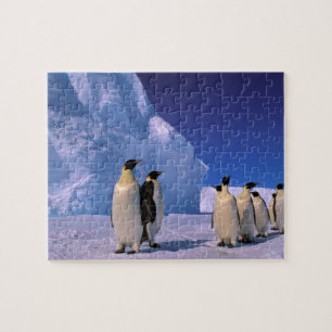 Puzzle Antarctique, territoire australien antarctique, 7