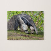 Puzzle Anteater géant marchant sur l'herbe (Horizontal)