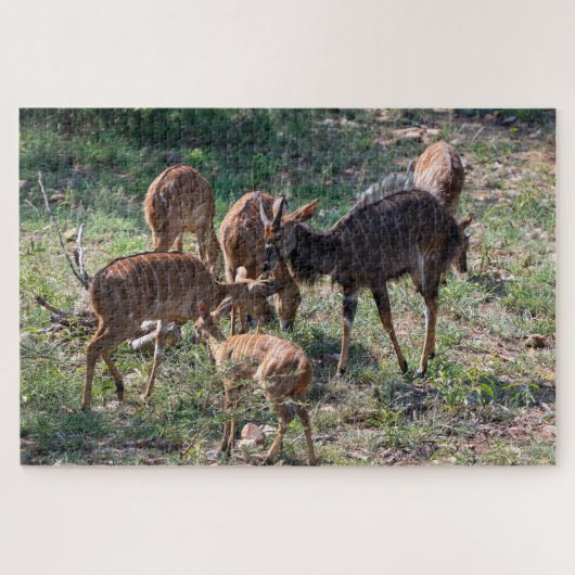 Puzzle Antilope calme – Nature africaine (Horizontal)